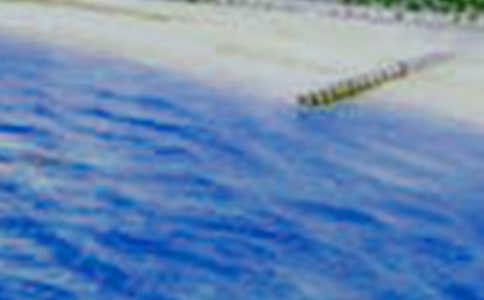 美景配佳人的詩句