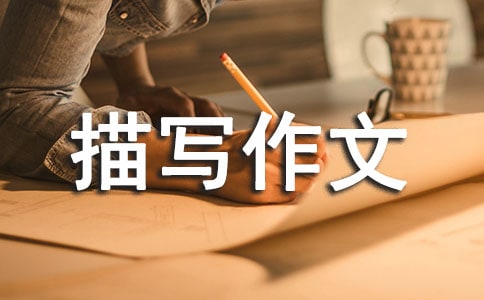 關(guān)于初三人物描寫作文集錦9篇