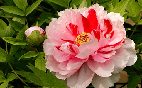 牡丹江市水污染防治工作對(duì)依蘭縣水污染防治工作的啟示