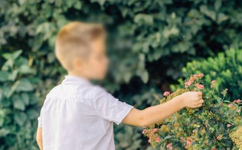 �f���к��������