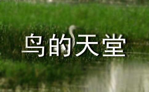 鳥的天堂教學實錄實用【9篇】