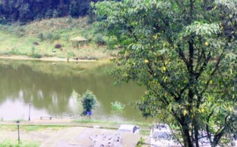 �r�Ҙ�����11ƪ������