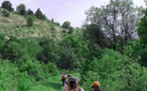 爬山的作文【實用15篇】