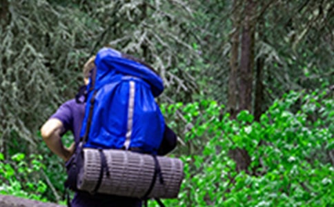 爬山帶什么干糧好呢