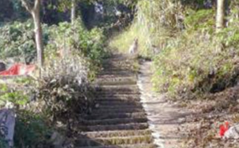 ��ɽ��ӛ����600��