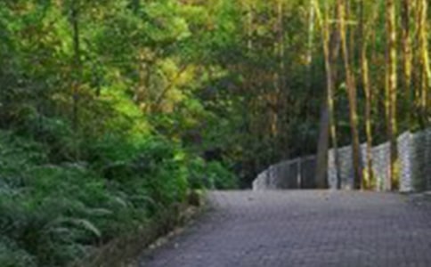 上山爬山登山歇后語