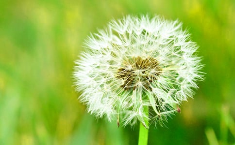 �ഺ��־���v�壺�ѹ�Ӣ�ļs��