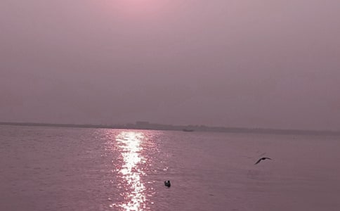 秦皇島都有哪些好吃的東西