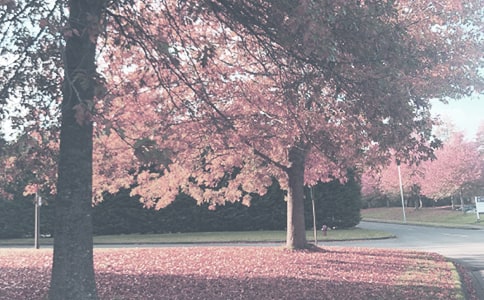 ���＾����Ӌ������������Ӌ��