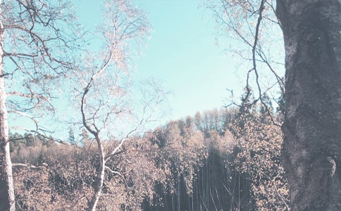 �����＾��Ԋ��