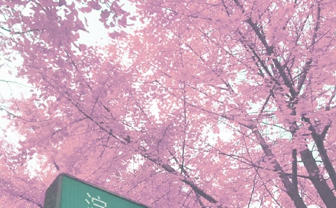 ���P(gu��n)�＾�̌W(xu��)����Ӌ����ƪ