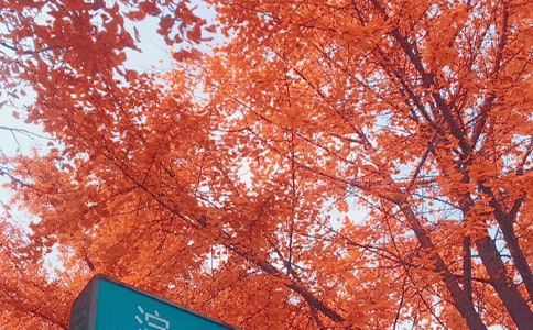 ����˽�Z(y��)���ĺϼ�9ƪ