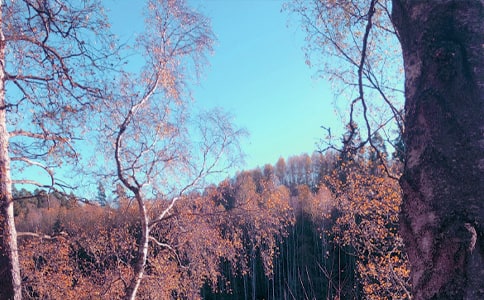 [����]����˽�Z����