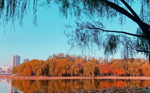 �茑�����L����Ԋ��