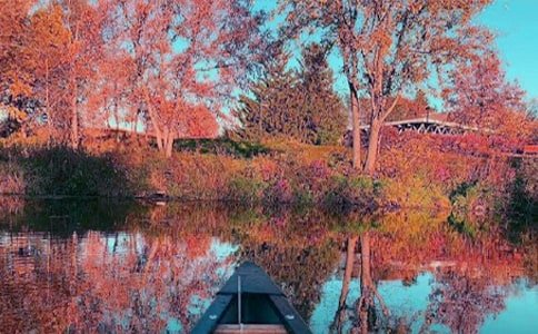 �����ϣ�����˽�Z����