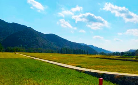 ���յ���Ϣ����