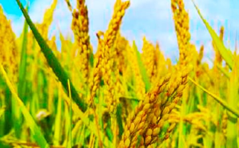 ���յ�����[��]