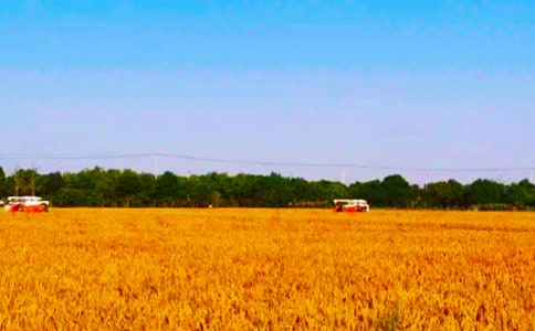 ���؂䣩���յĺ���