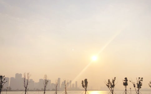 �ճ�����650��