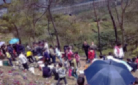 ȥ��Ĺ����