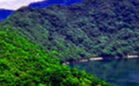 �茑�����ɽˮԊ��