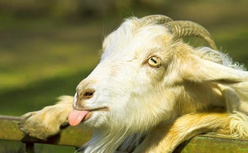 ɽ�򲻳����ò���Ҫ����