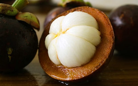 (精)游南山竹海作文15篇