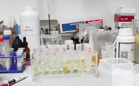 �ЌW(xu��)����ҹ����ƶ�