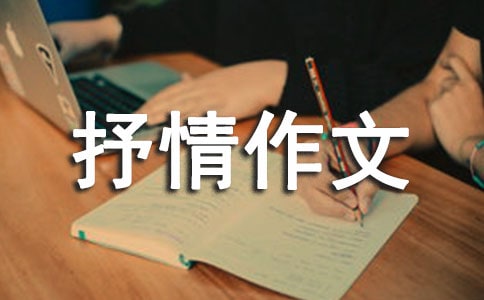 關(guān)愛抒情作文550字