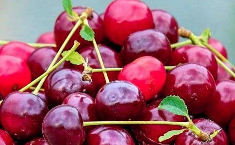 水果寶寶去旅行小班語言活動