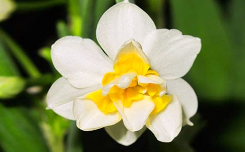 [���x]ˮ�ɻ�����