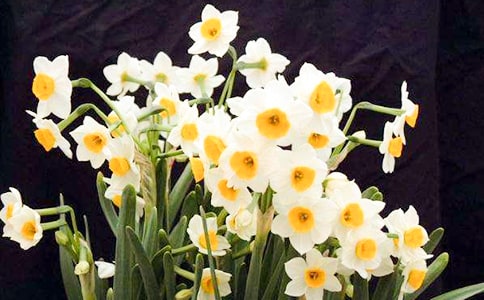 ˮ�ɻ�[�R��15ƪ]