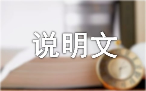 說明文作文(集錦20篇)