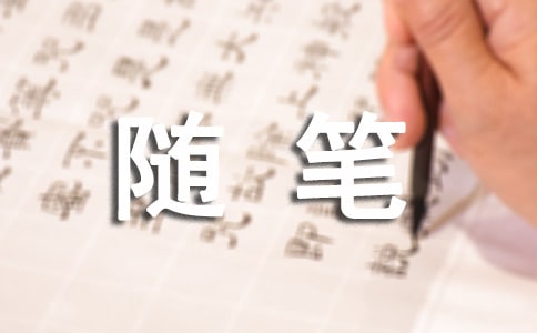 追夢遠方隨筆作文800字(通用39篇)