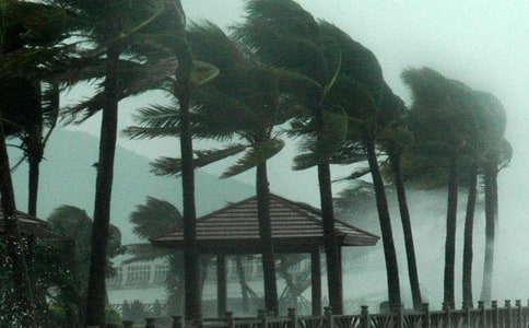 第4號臺風妮妲火車停運通知