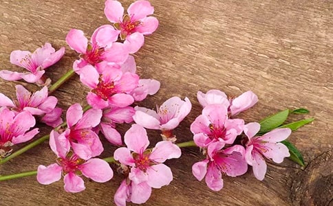 ���һ���ľ���x���и�