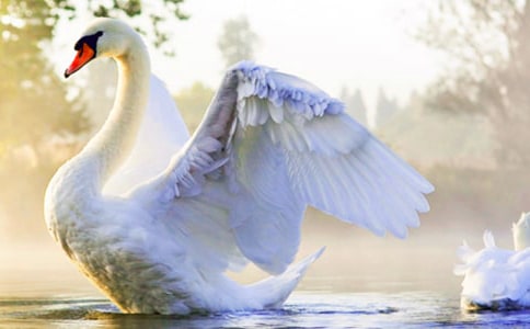 ���Z�����ġ����㡿