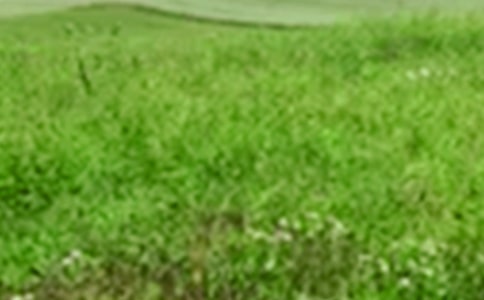 ��������Ұ���ķ���[15ƪ]