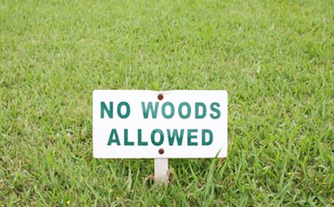 С�^��I��ͨ�棨ͨ��19ƪ��