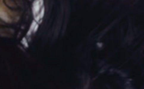 剪頭發(fā)作文11篇(精華)