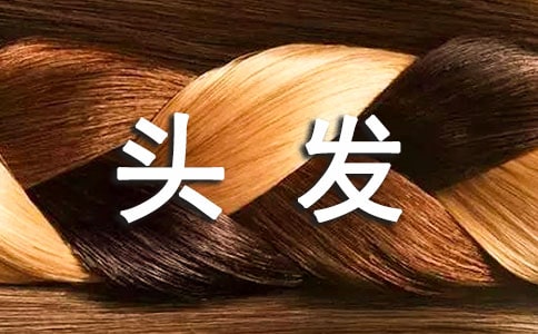 濕發(fā)時(shí)隨意梳頭發(fā)對(duì)頭發(fā)傷害很大!