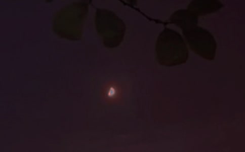 ���ε�Ψ�����������Z���ż���72��