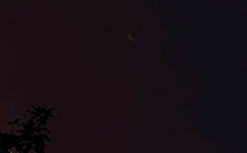 朋友圈晚安短信125句精選