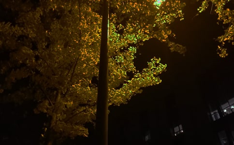 晚安心語:有欲而不執著于欲,有求而不拘泥于求