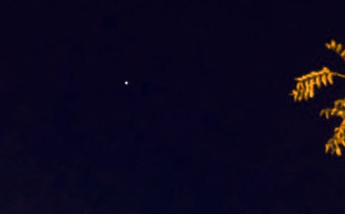 2024�꺆���Ĝ�ܰ�����������Z���ŅR��78�l