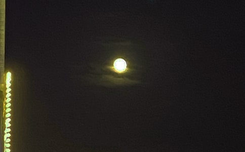 �����ܰ���������Z����330��