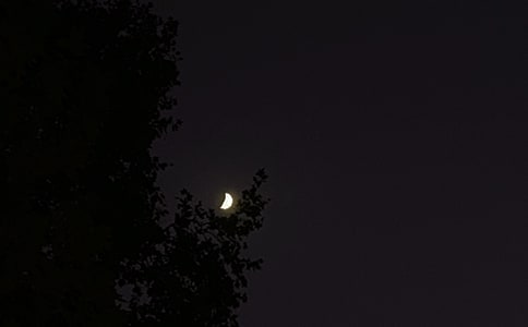 2024年經(jīng)典晚安心語短信大集合54條