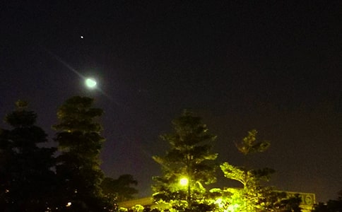 精選唯美的晚安心語短信摘錄39條