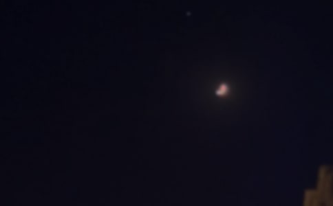 2024�����P�������������Z����47��