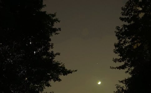 ����Ψ�����������Z���Ŵ�ϼ�50�l